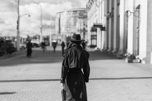 Private Investigator California